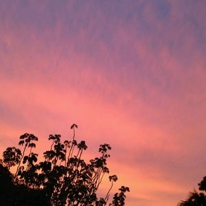 Meet your Posher, Sophia